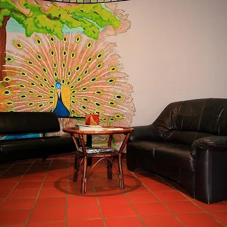 Bola Kulturhostel Hotel